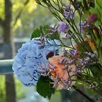 Hotel The If Boutique Amesterdão