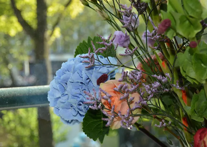 Hotel The If Boutique Amesterdão