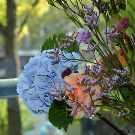 Hotell The If Boutique Amsterdam